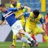 Sampdoria-Chievo 0-1: Meggiorini blinda la salvezza