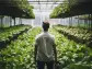 The Scotts Miracle-Gro Company (SMG): Hedge Funds Are Bullish On This Vertical Farming And Hydroponic Stock