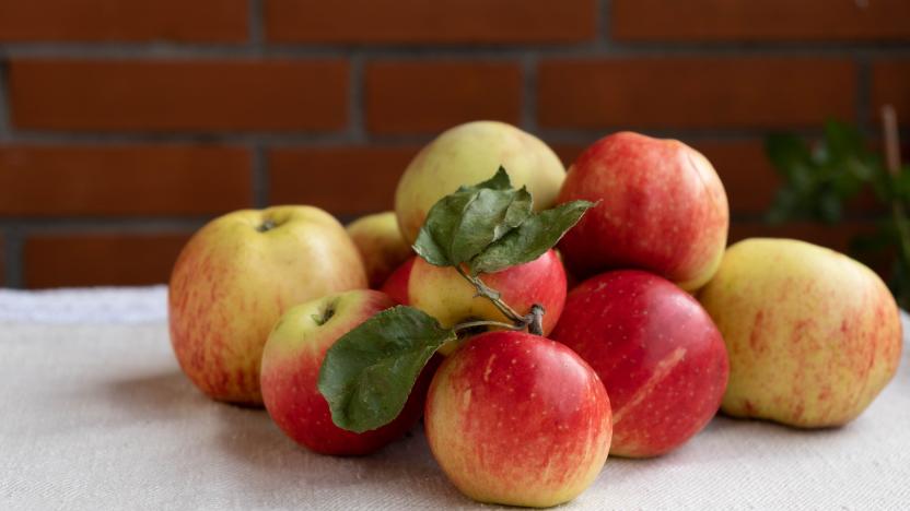 the summer harvest, ripe and juicy apples, lies on the table covered with a linen tablecloth