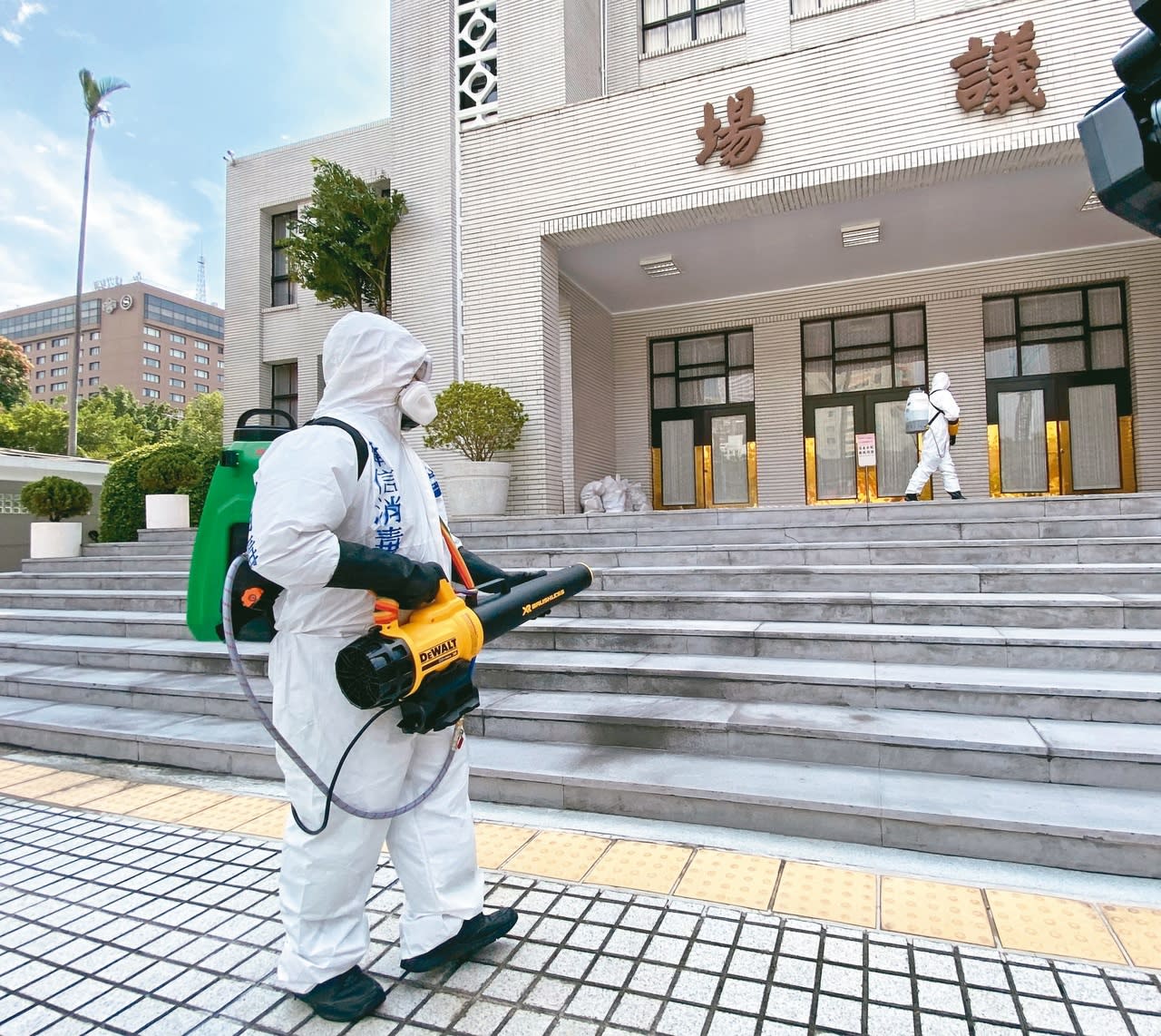 流浪貓議員辦公室安家歡迎領養 新聞 Yahoo奇摩行動版