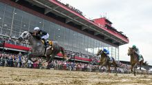 48 Marylanders among the more than 2,500 who own a piece of Preakness winner Seize the Grey