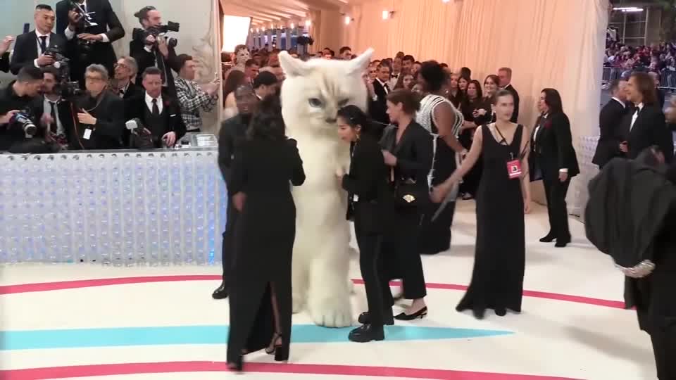 Met Gala 2023: Jared Leto, Doja Cat e gli altri. Gli omaggi a Choupette,  l'adorata gatta di Karl Lagerfeld