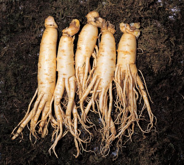 The Korea Ginseng Association announces positive effects ...