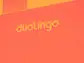 Q2 Consumer Subscription Earnings: Duolingo (NASDAQ:DUOL) Earns Top Marks