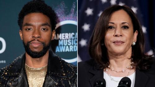 Chadwick Boseman's Final Tweet Before His Death Was in Support of Democratic VP Nominee Kamala Harris