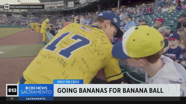 West Sacramento welcomes the Savannah Bananas with sold-out crowd