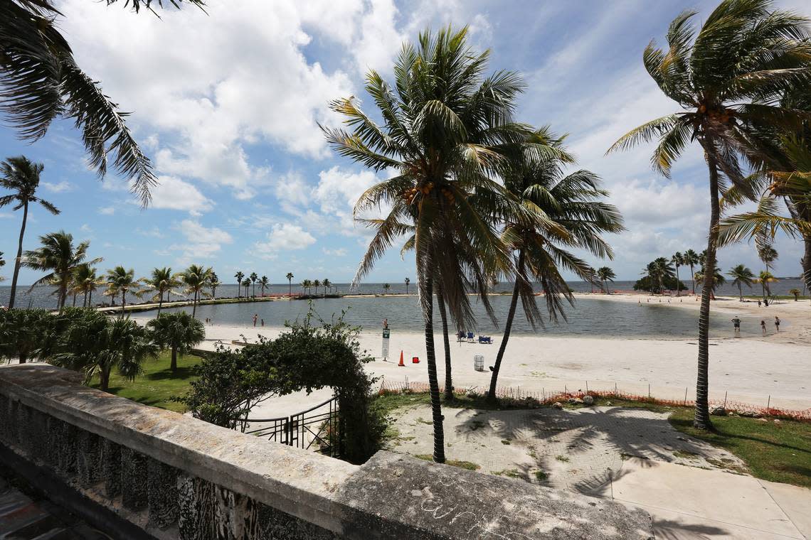 ‘Oh, it’s pretty big.’ Check out a crocodile that went for a swim at a Miami-are..