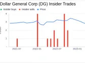 Insider Sell: EVP & Chief Information Officer Carman Wenkoff Sells 5,909 Shares of Dollar ...