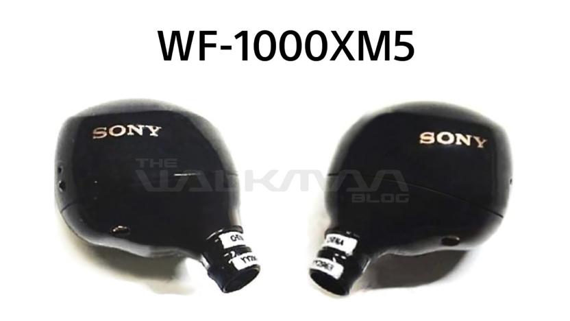 Sony WF-1000XM5 wireless earbuds leak