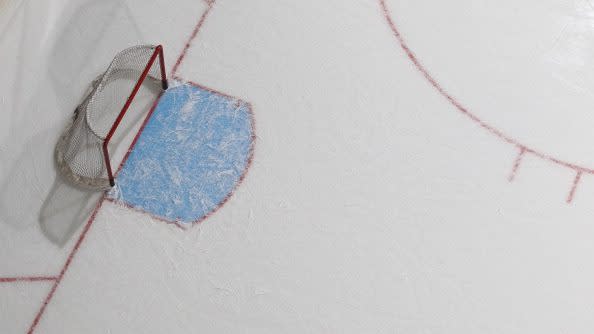 Women’s pro hockey is about to have its moment