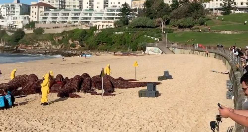 Stranger Things Installation Attracts Crowd At Bondi Beach