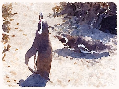 the waterlogue app