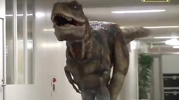 ‘dinosaur Chases Man In Hilarious Japanese Prank Video