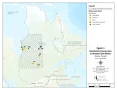 METALEX ANNOUNCES LITHIUM IN SAMPLES FROM QUEBEC