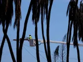 Hawaiian Electric to Settle Maui Wildfire Claims as Part of $4B Deal