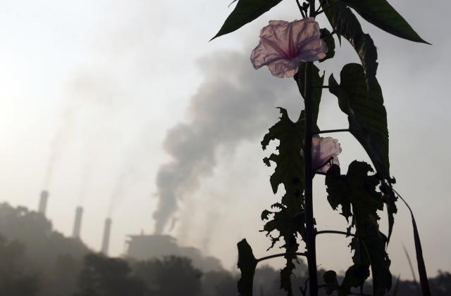 A flower grows close to a thermal power plant on the outskirts of Nagpur December 9, 2009. A 20 percent cut in greenhouse gases by rich nations would be a "pretty good" result for a U.N. climate summit even though it falls short of developing nations' hopes, the head of the U.N. climate panel said on Tuesday. REUTERS/Arko Datta (INDIA ENVIRONMENT SOCIETY IMAGES OF THE DAY)