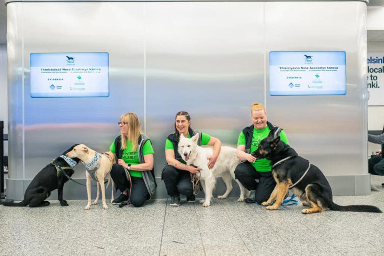 Aeropuerto de Helsinki. Hacen tests rápidos de Covid-19 con perros que lo  detectan en el sudor