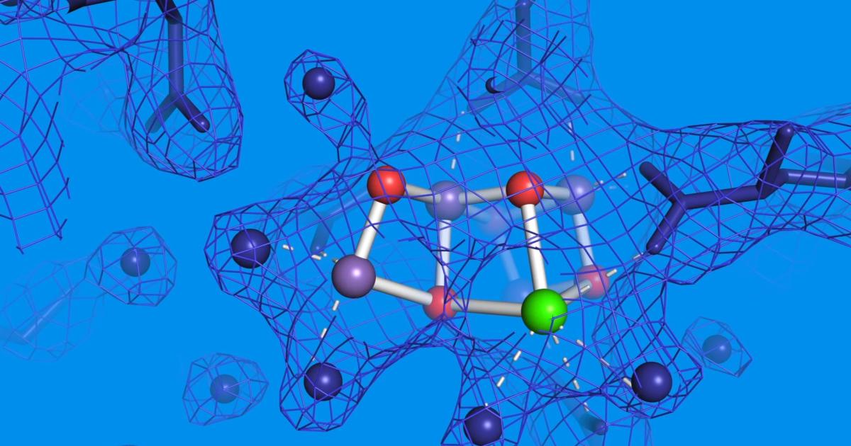 Wissenschaftler bemerken diesen schwer fassbaren fehlenden Schritt in der Endphase der Photosynthese