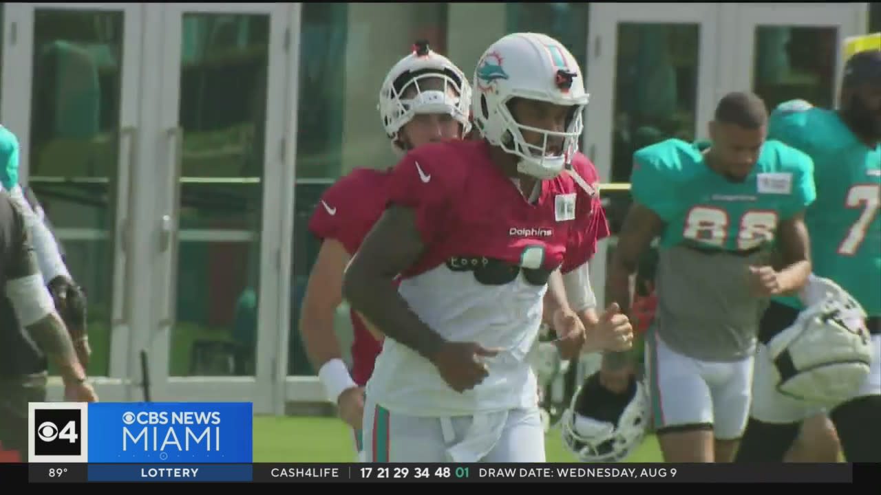 Miami Dolphins news and updates - CBS Miami