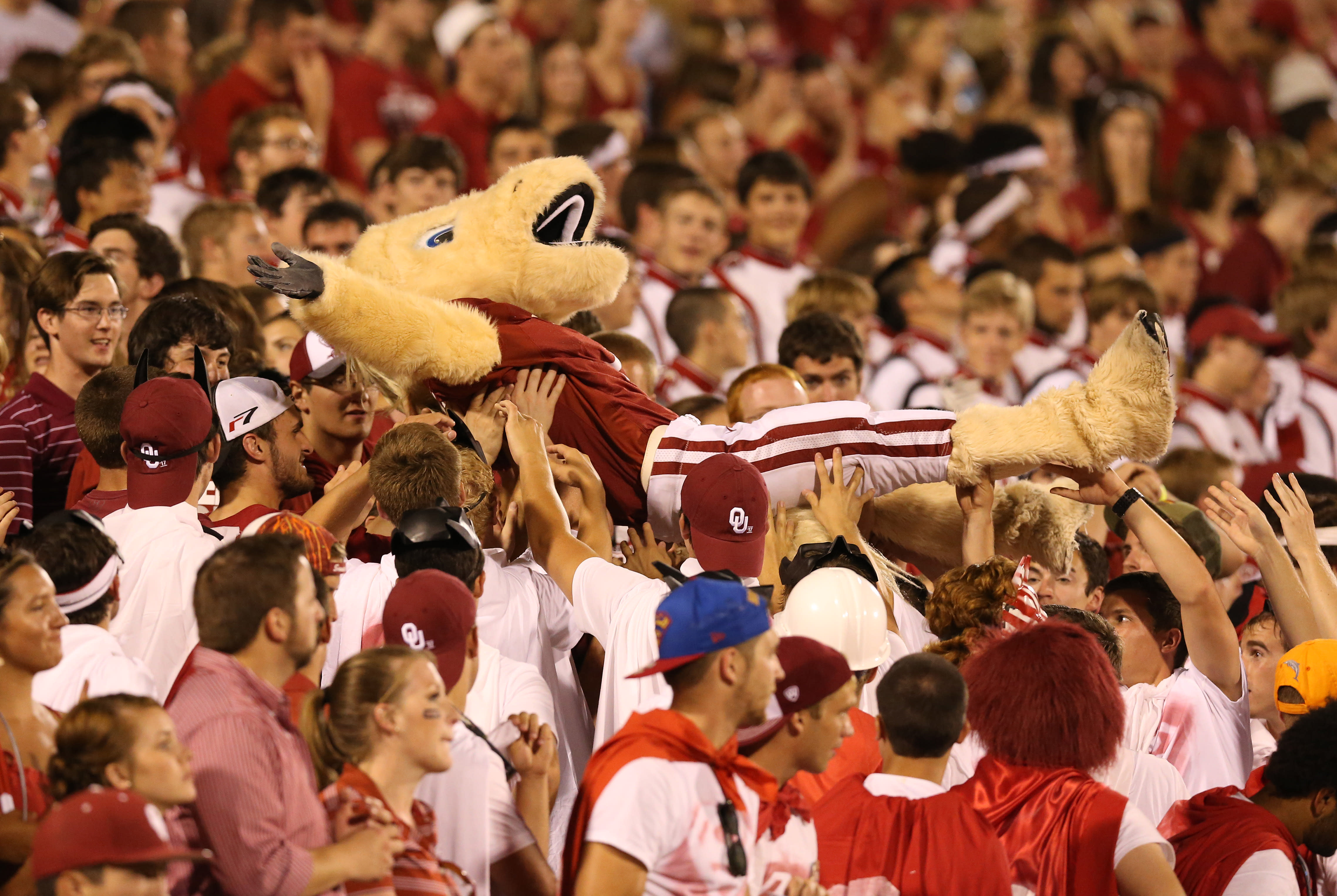 Person playing Oklahoma mascot fired for taunting rival fans4554 x 3054