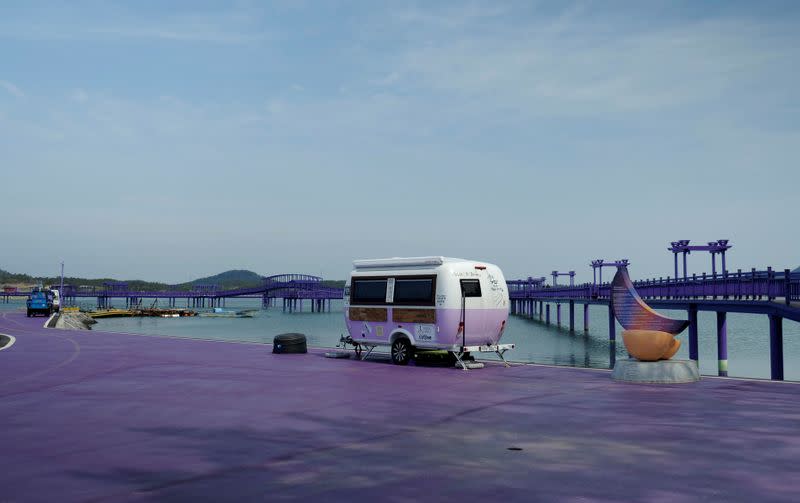 South Korean islands are full of purple and attract tourists