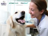 Synchrony and The Human Animal Bond Research Institute Form Strategic Alliance to Champion the Human-Animal Bond