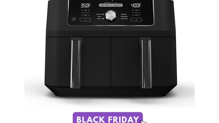 Ninja's XL Dual Zone air fryer