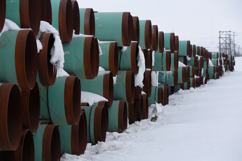 Biden may cancel the license for the Keystone XL pipeline as soon as his first day in office: source