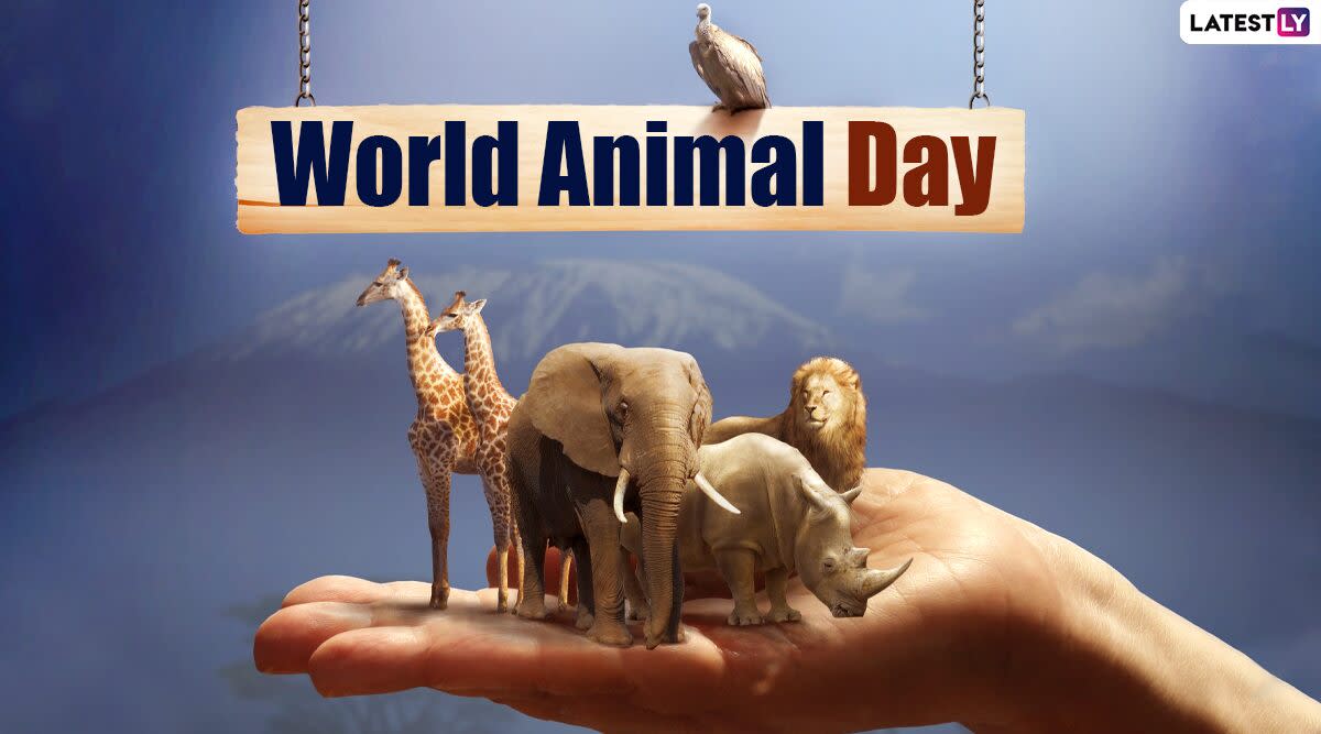 World Animal Day Date And Significance Know History And Celebrations Of The Day That Promotes Animal Welfare Movement