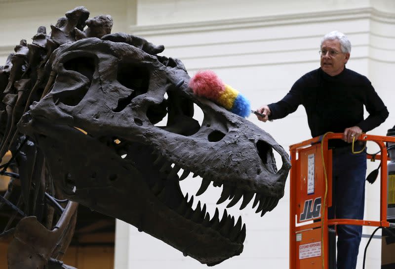 Slow and steady or a big spurt? How to grow a ferocious dinosaur - Yahoo News