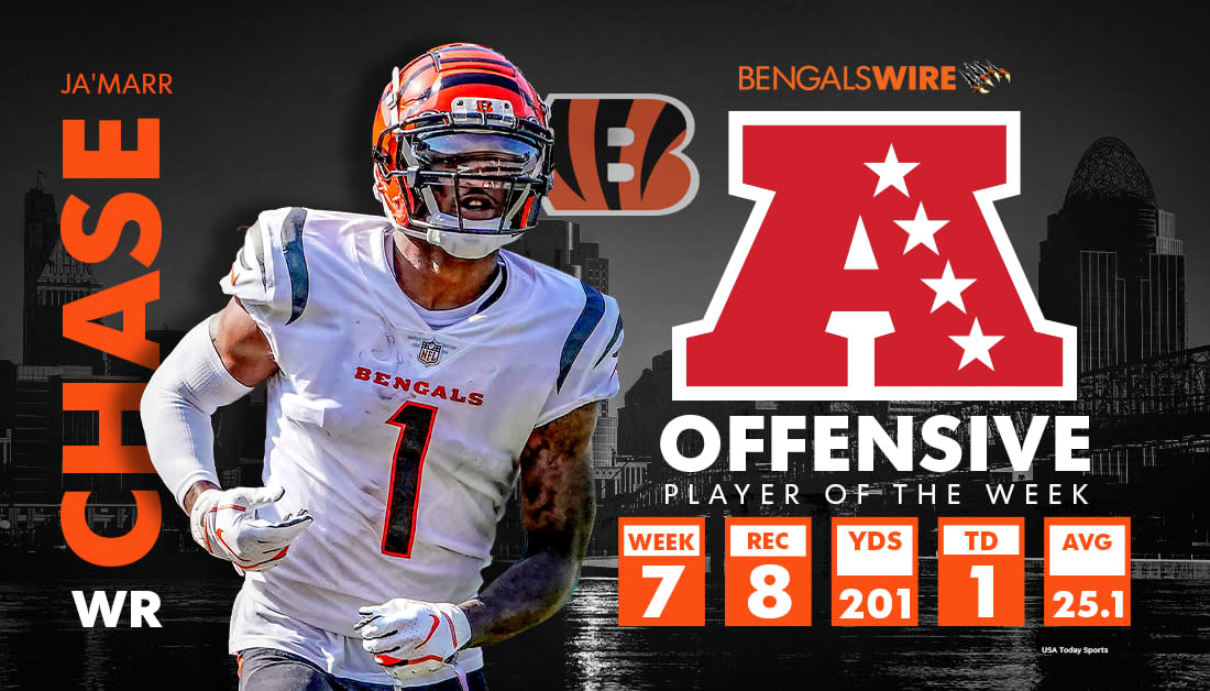 Bengals have smallest chance at AFC North crown despite Week 10 result