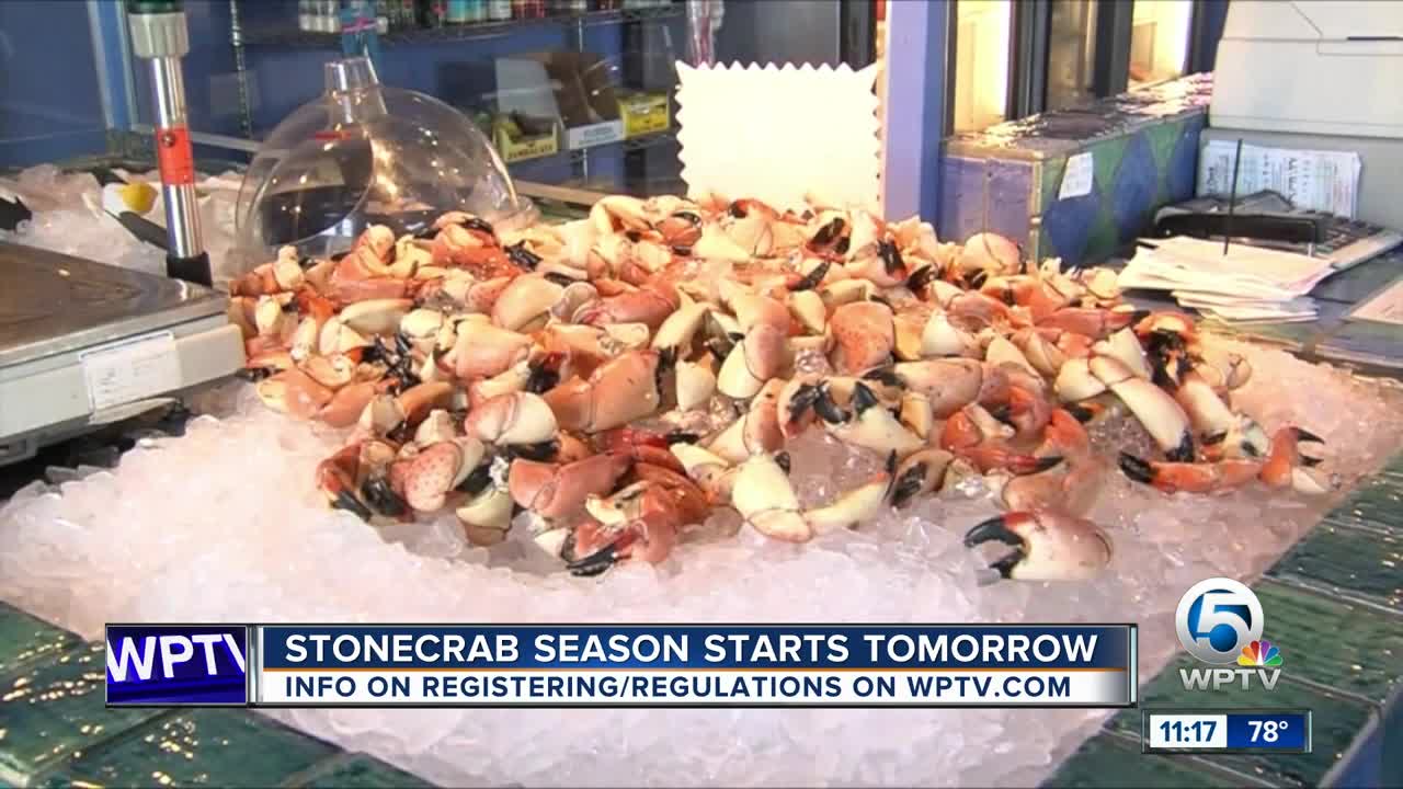 Stone crab season begins Tuesday in Florida [Video]