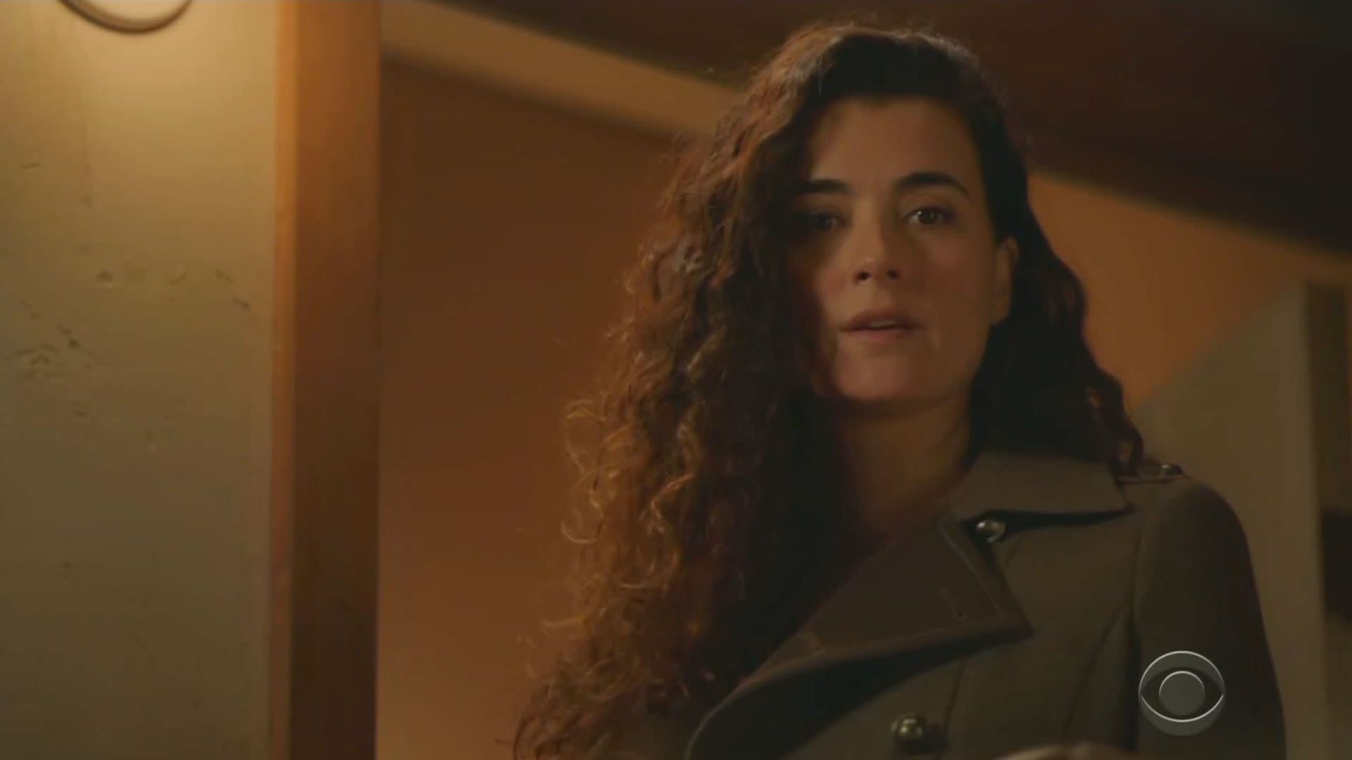 ‘NCIS’ character returns in shocking season finale