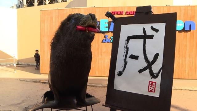 Japon Un Lion De Mer Fait De La Calligraphie A Yokohama