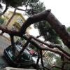 Bufere di vento in Calabria e Sicilia, nel reggino muore 51enne