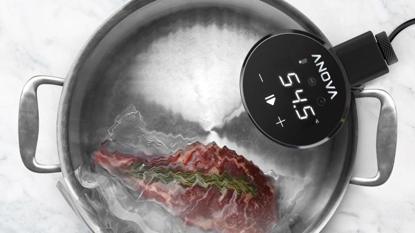 The Anova Precision Cooker Nano sitting in a pot of water cooking a piece of meat.