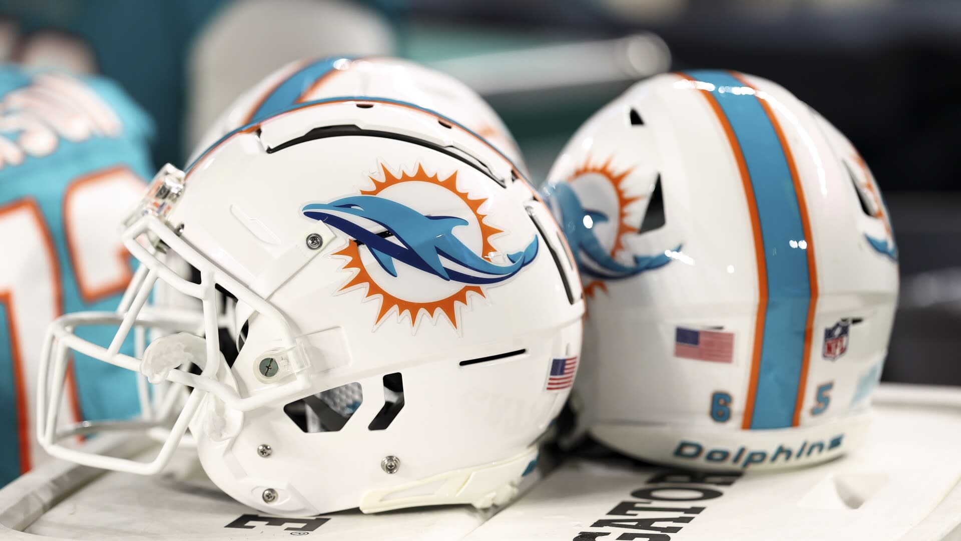 Dolphins sign QB Tim Boyle to active roster