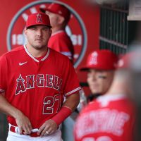 Albert Pujols News, Updates, Stats, Injuries, and Opinion - Halo Hangout