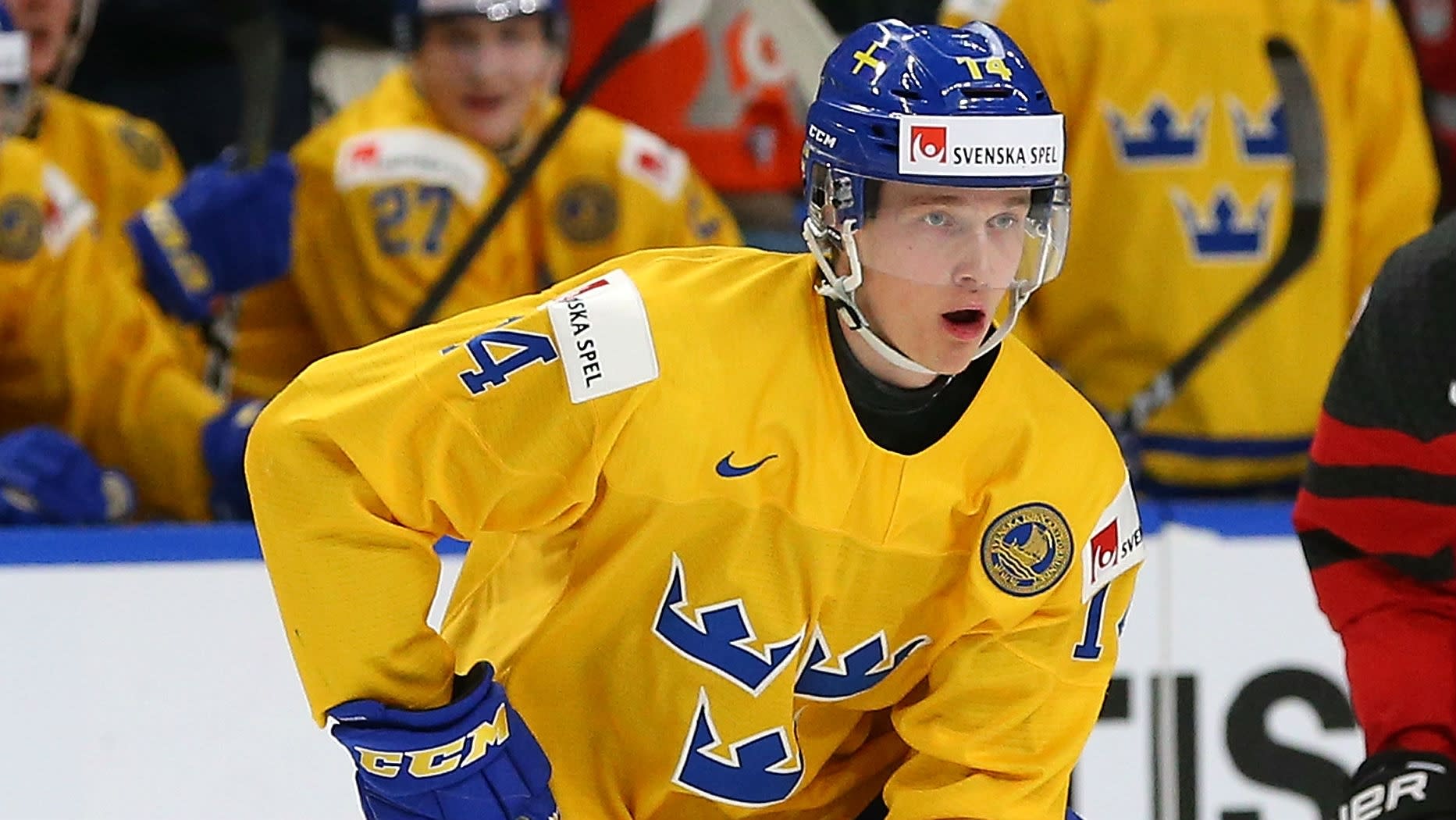 Swedish NHL players raise concerns by 