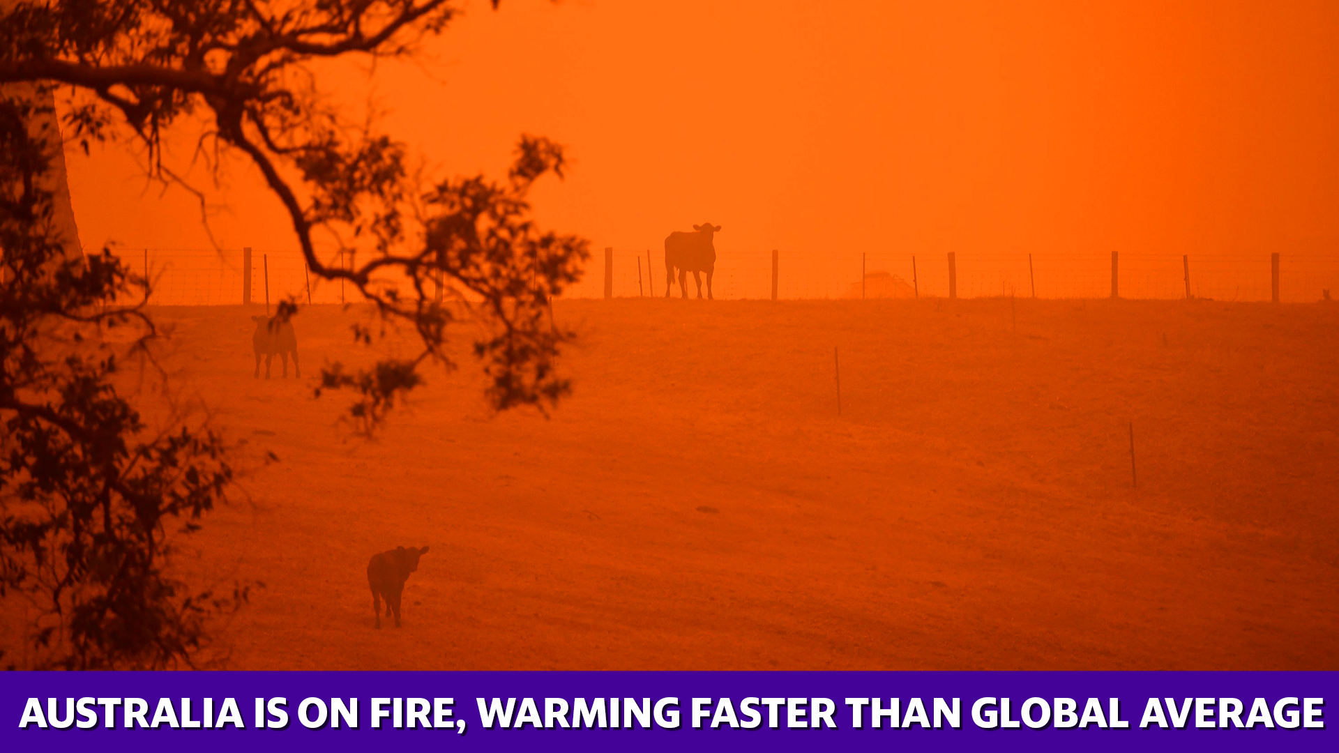 Australia is on fire, warming faster than global average