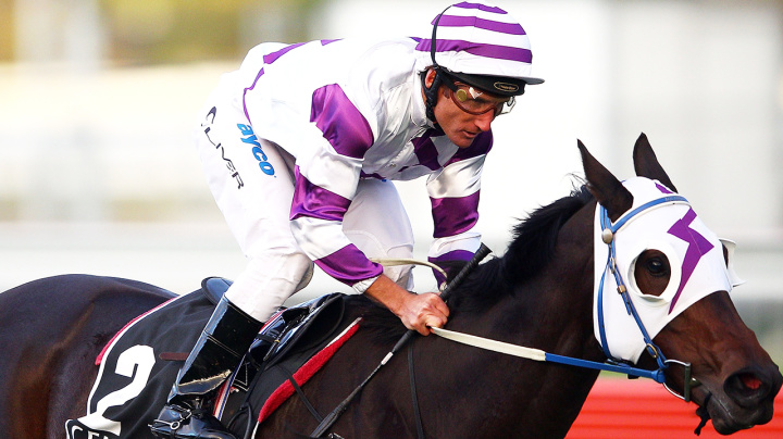 Horse Racing Melbourne Cup Spring Racing Carnival Derby