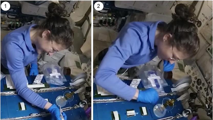 Astronaut Christina Koch using CRISPR gene editing in space