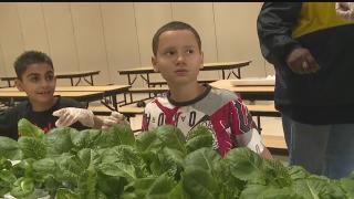 Springfield students' research help school launch new biodegradable lunch  trays