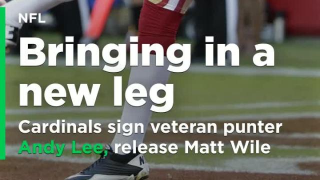 Cardinals sign veteran punter Lee, release Wile