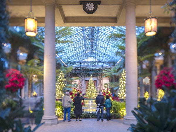 Longwood Gardens Christmas 500k Lights Carols Floating Trees