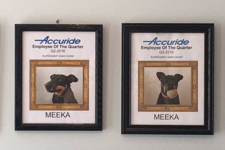 Tbh, this dog really is the employee of the year, and we quit