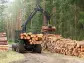 Weyerhaeuser's (WY) Q2 Earnings & Net Sales Miss Estimates