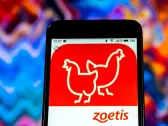 Zoetis Stock Crumbles After Report Suggests Arthritis Shots Sickened Dogs, Cats