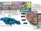 C3 Metals Jamaica Copper-Gold Exploration Update and Discovery Targets