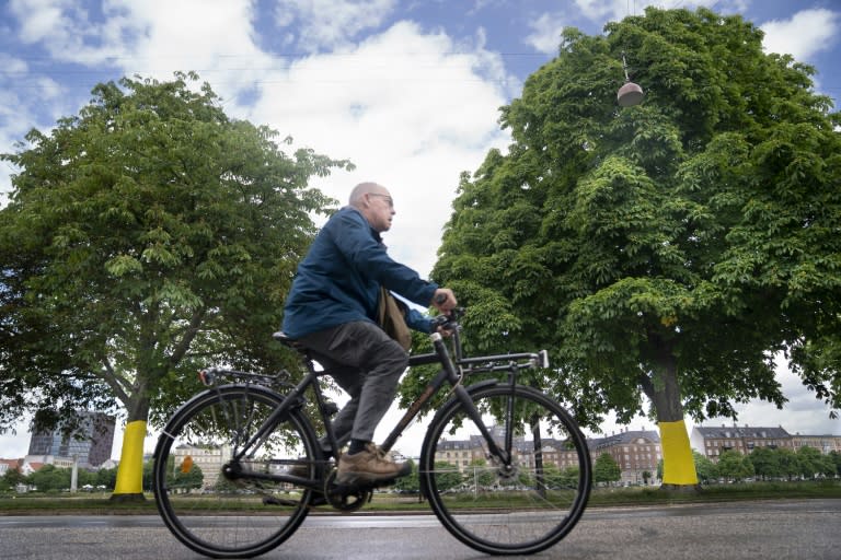 Le cyclisme dans l’ADN danois alors que Copenhague se prépare pour le Tour de France